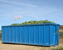 Il Dumpster Rental Prices
